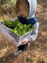 How to Encourage Your Child to Love Gardening