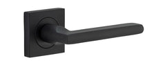 Load image into Gallery viewer, Baltimore Lever on Sq Rose