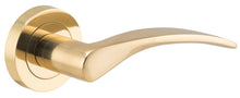Load image into Gallery viewer, Oxford Lever on Round Rose