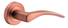 Load image into Gallery viewer, Oxford Lever on Round Rose